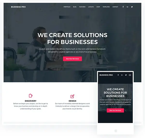 Professional web design services for small businesses, Business Pro.